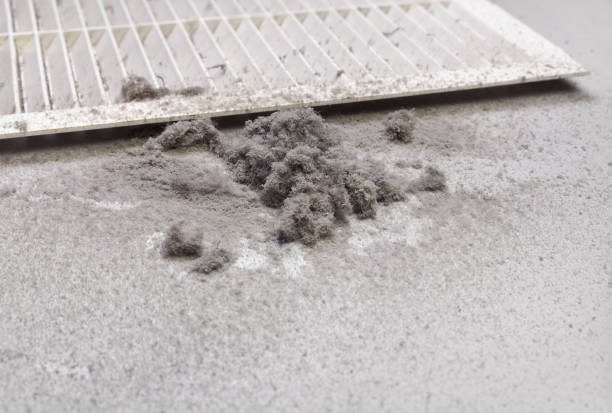 Best Ductwork Cleaning Services  in Campti, LA