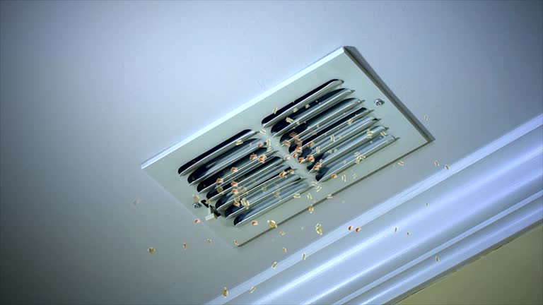 Ductwork Cleaning Services in LA