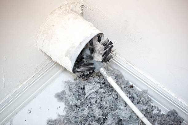 Best Air Duct Mold Removal  in Campti, LA